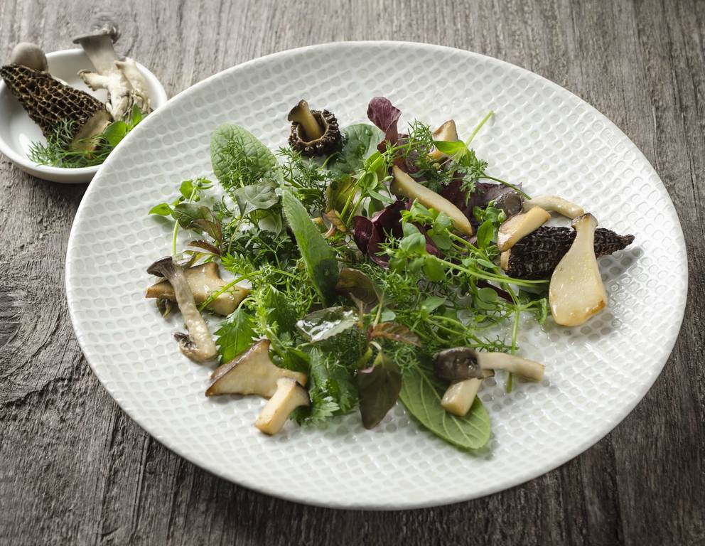 Wildkräutersalat mit gerösteten Pilzen Wildkräutersalat mit gerösteten Pilzen