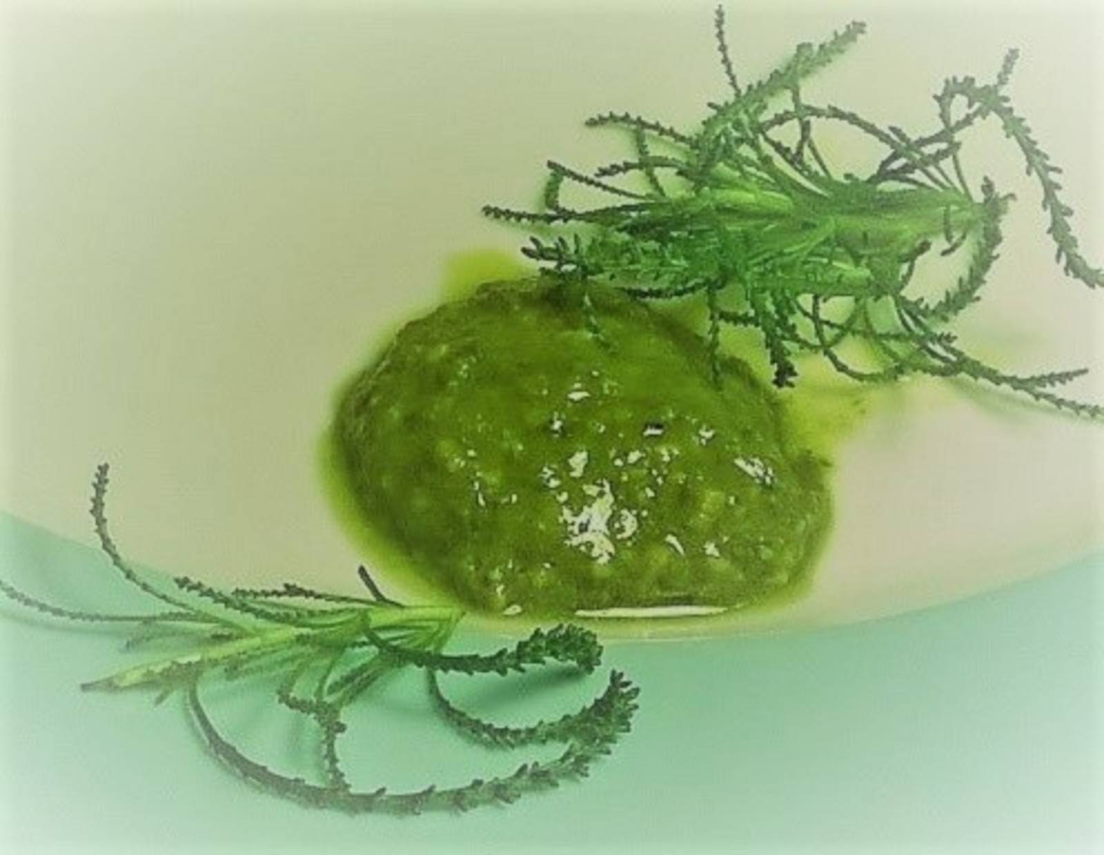 Olivenkraut-Pesto