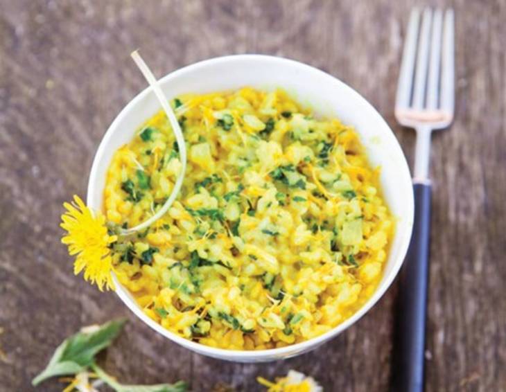 Sonnenblüten-Brennnessel-Risotto mit Kurkuma Sonnenblüten-Brennnessel-Risotto mit Kurkuma