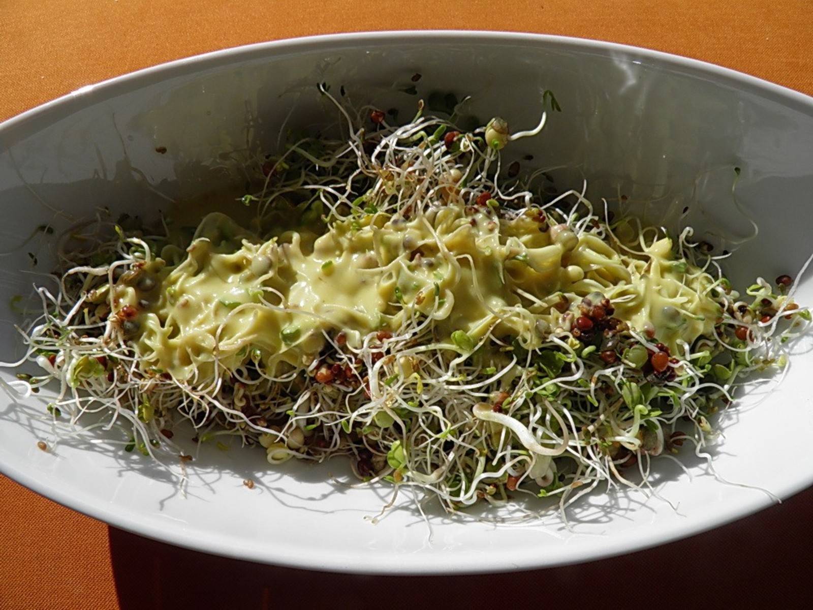 Sprossensalat mit Currydressing Rezept - ichkoche.at Sprossensalat mit Currydressing Rezept - ichkoche.at