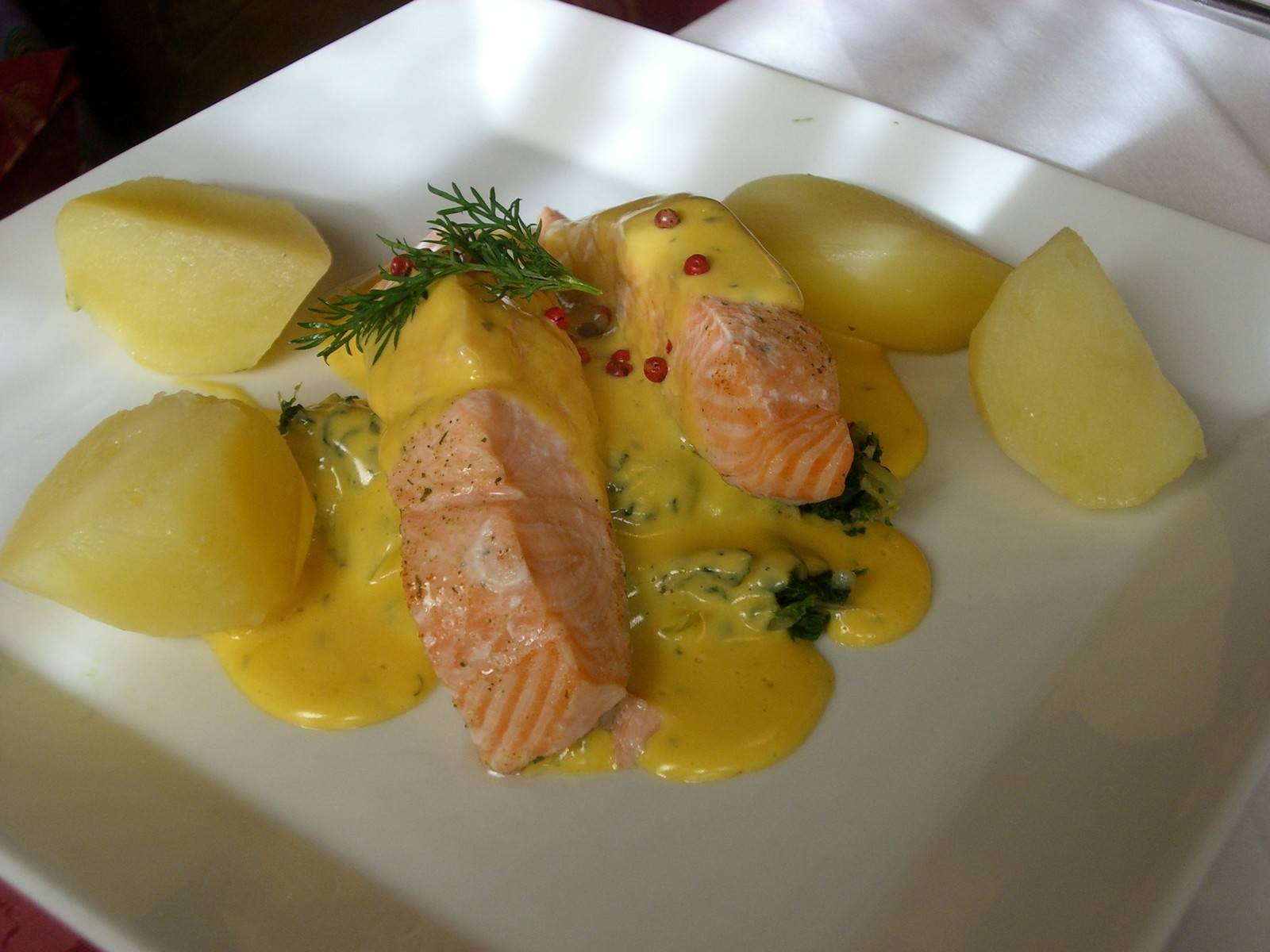 Lachs auf dem Gemüsebett mit Sauce Hollandaise Rezept - ichkoche.at