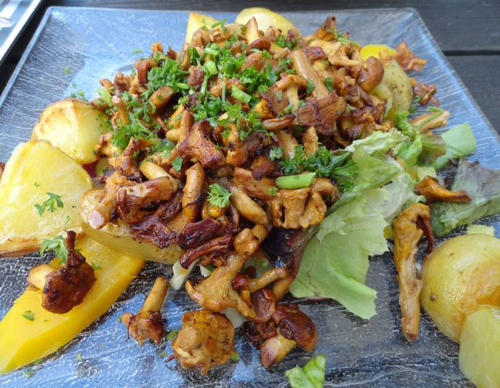 Gröstl aus dem Wald Gröstl aus dem Wald