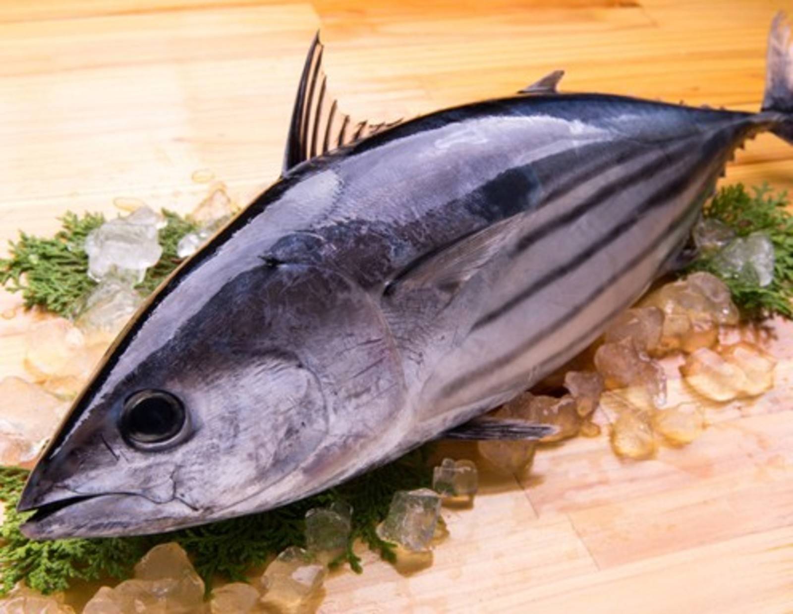 Katsuo