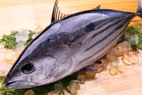 Bonito Bonito