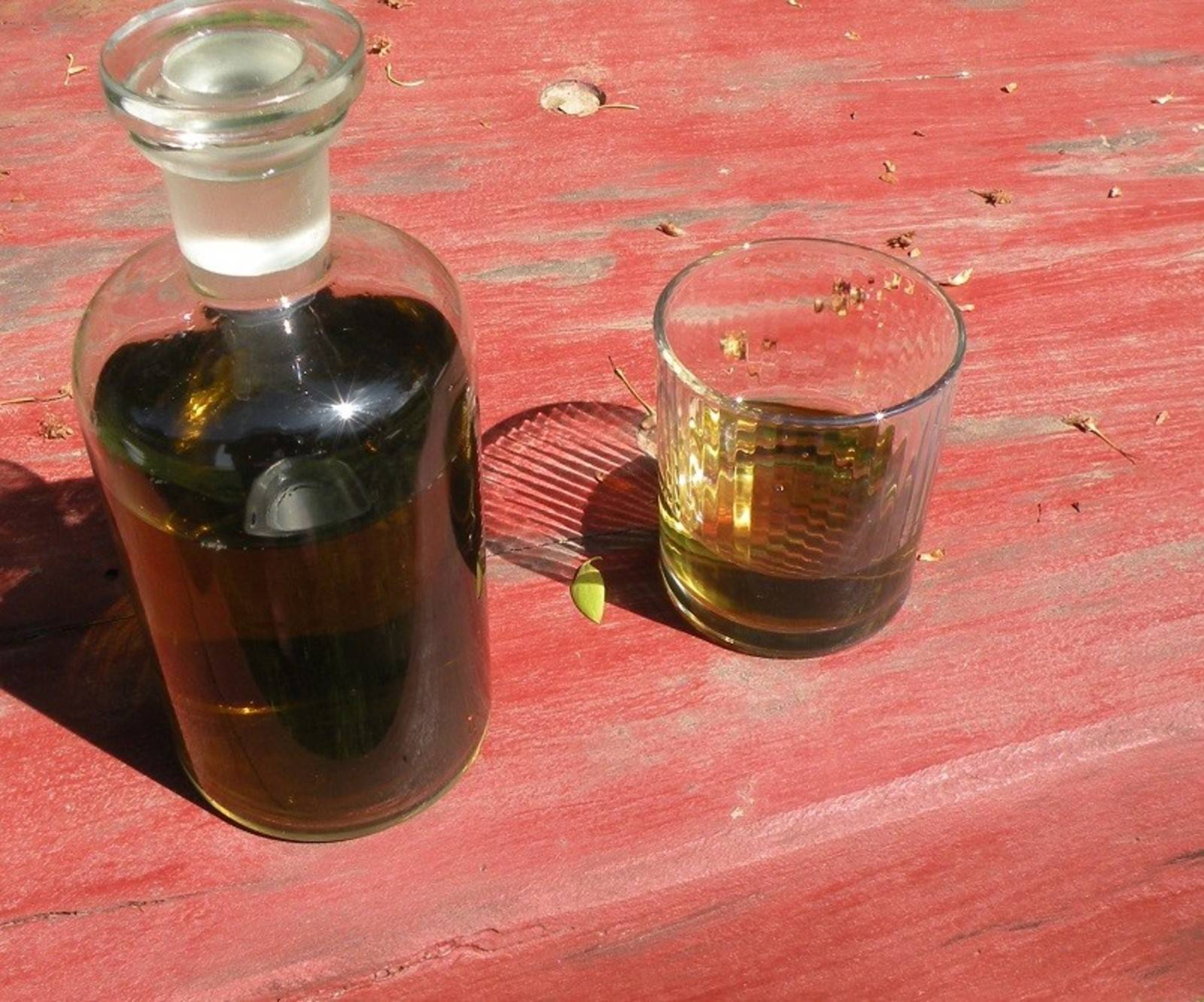 Chai Sirup Rezept - ichkoche.de