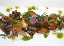 Schwammerlsalat mit Schnittlauchpesto Schwammerlsalat mit Schnittlauchpesto