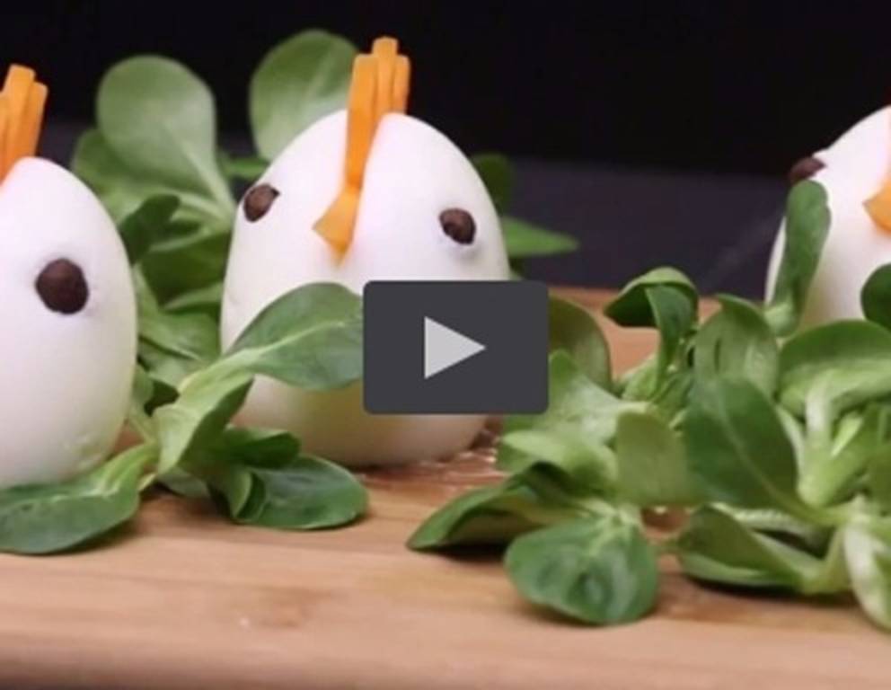 Eier-Hühner Eier-Hühner