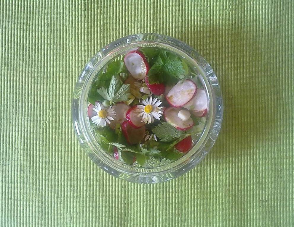 Vorfrühlingssalat Vorfrühlingssalat