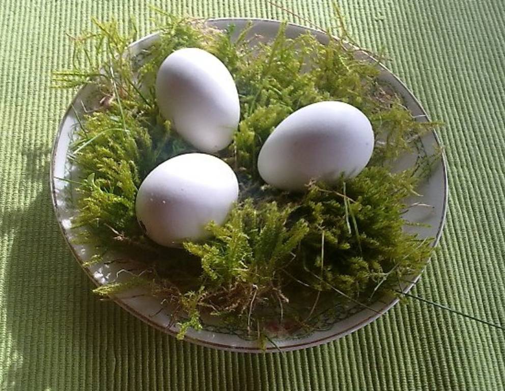 Schokonougateier in echter Hühnereischale Schokonougateier in echter Hühnereischale