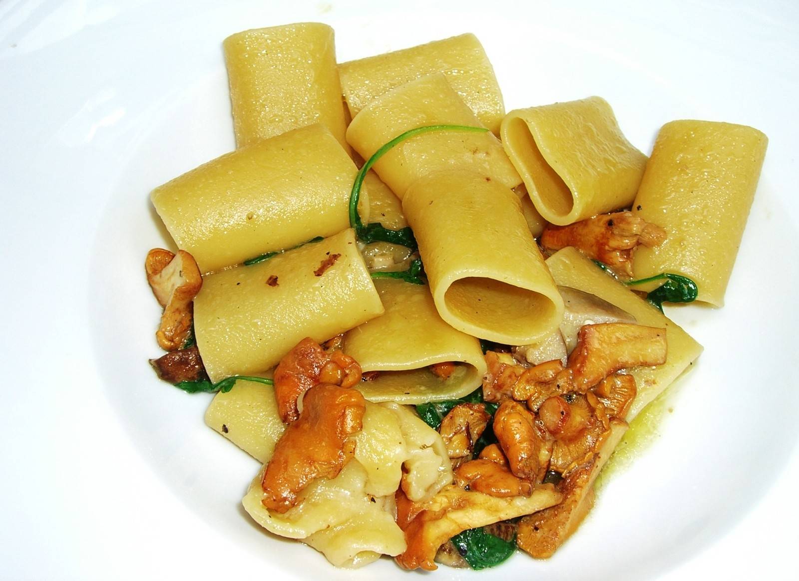 Eierschwammerl mit Pasta