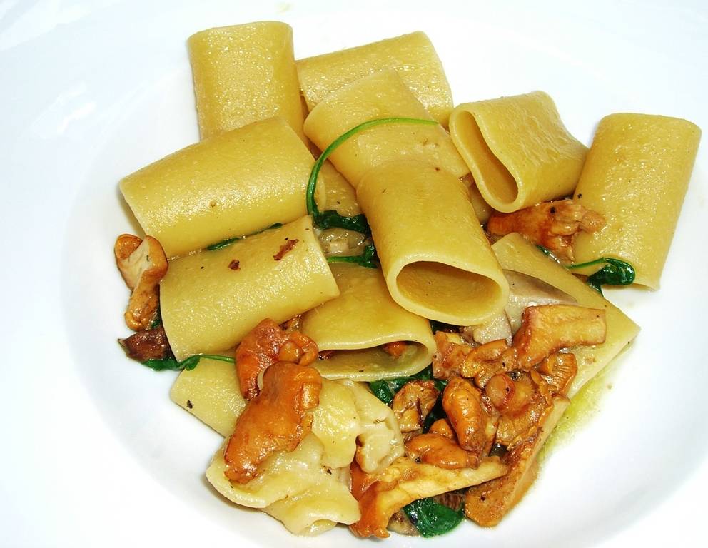 Eierschwammerl mit Pasta Eierschwammerl mit Pasta