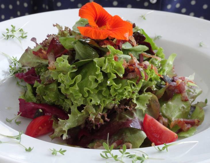 Grüner Salat mit Speck und Pilzen