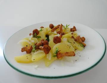 Erdapfel-Eierschwammerl-Salat Erdapfel-Eierschwammerl-Salat