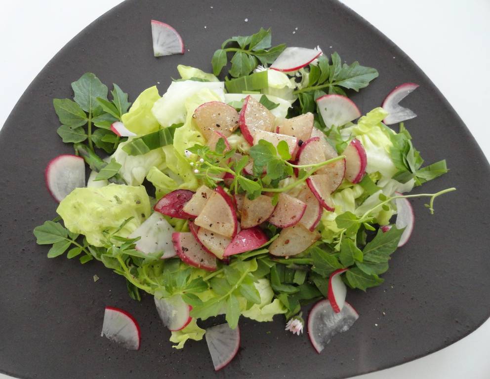 Frühlingssalat mit dreierlei Radieschen Frühlingssalat mit dreierlei Radieschen