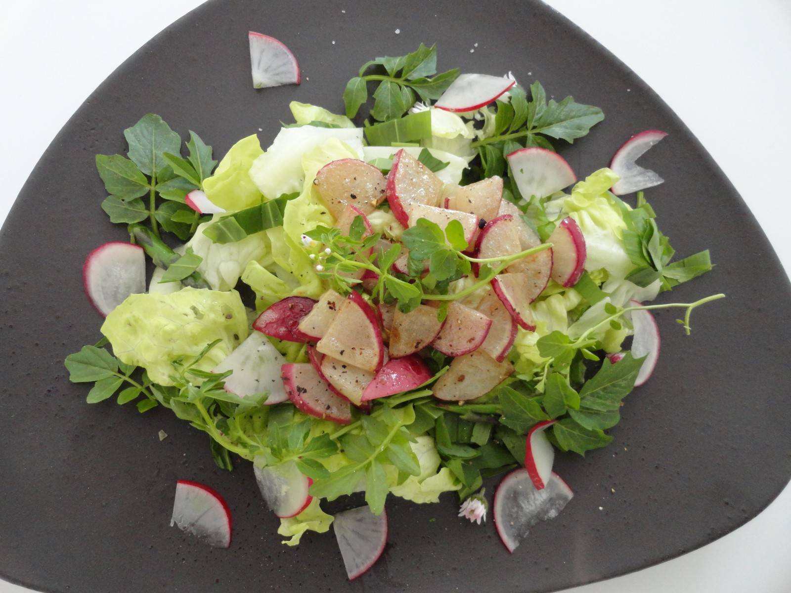 Frühlingssalat mit dreierlei Radieschen Rezept - ichkoche.de Frühlingssalat mit dreierlei Radieschen Rezept - ichkoche.de