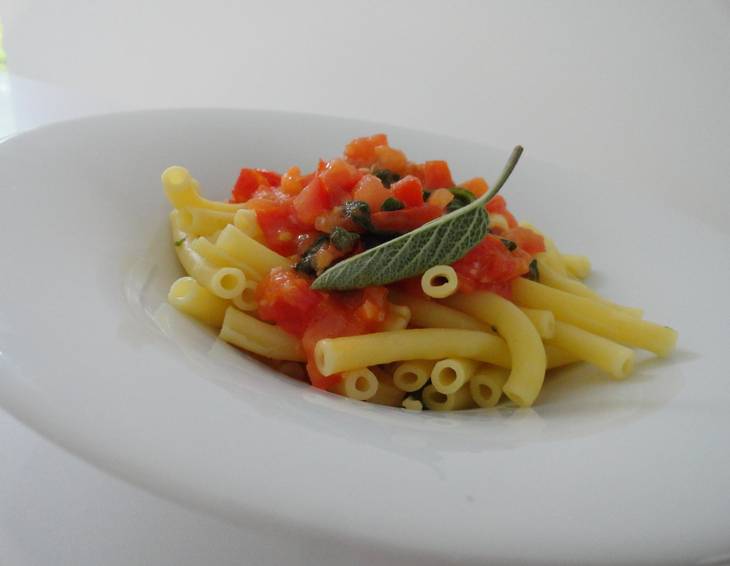 Penne mit Tomaten Penne mit Tomaten