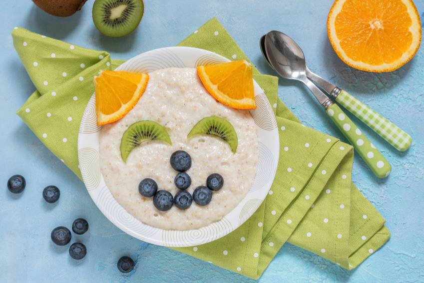 Katzen-Porridge Rezept