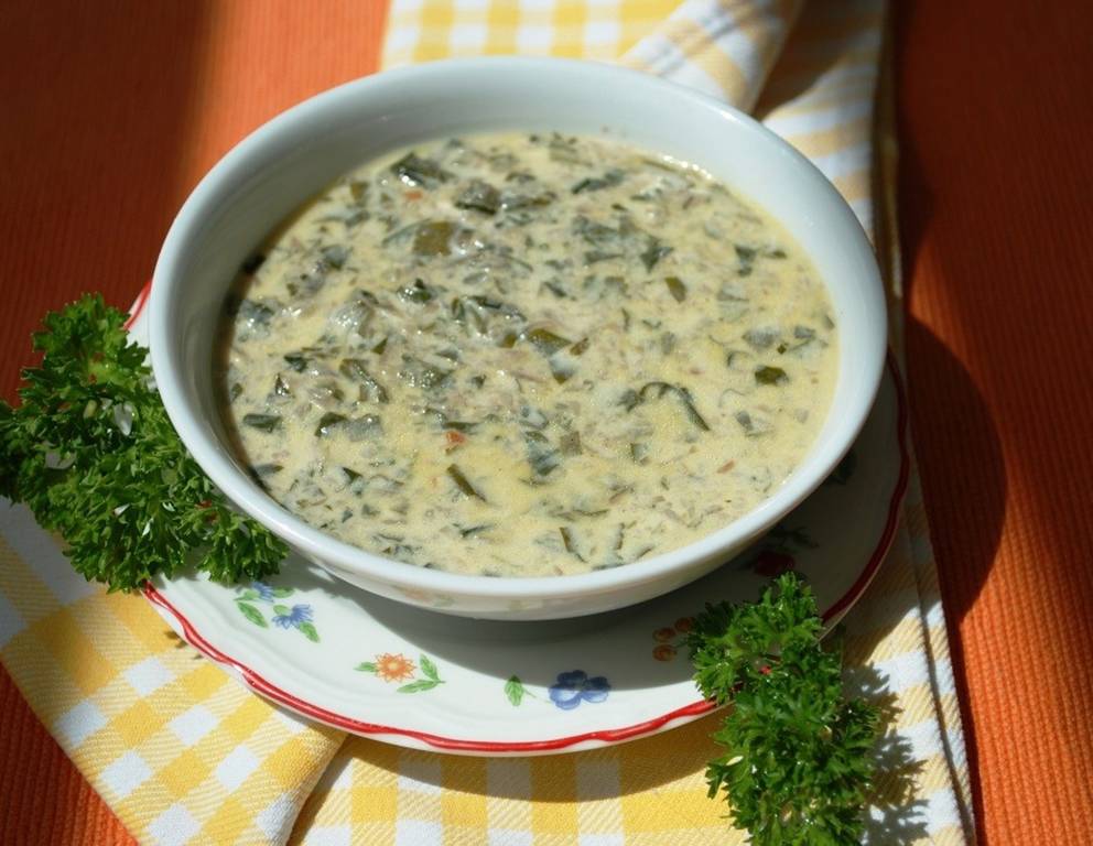 Brennesselgemüse Brennesselgemüse