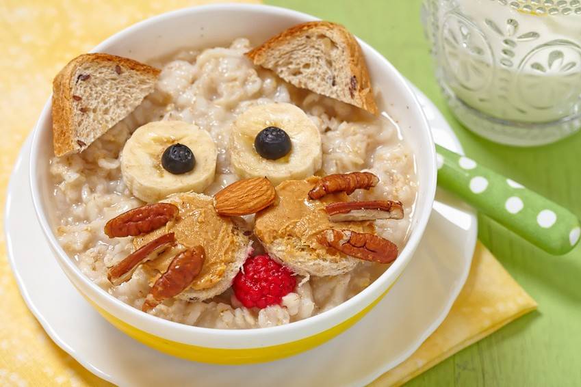 Katzen-Frühstück Rezept