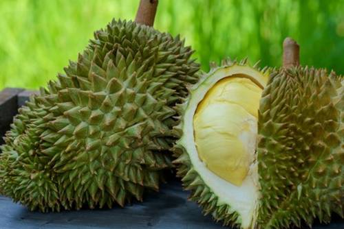 Durian Durian