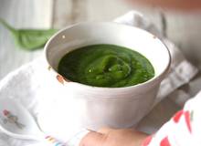 Grüner Smoothie für Babys Grüner Smoothie für Babys