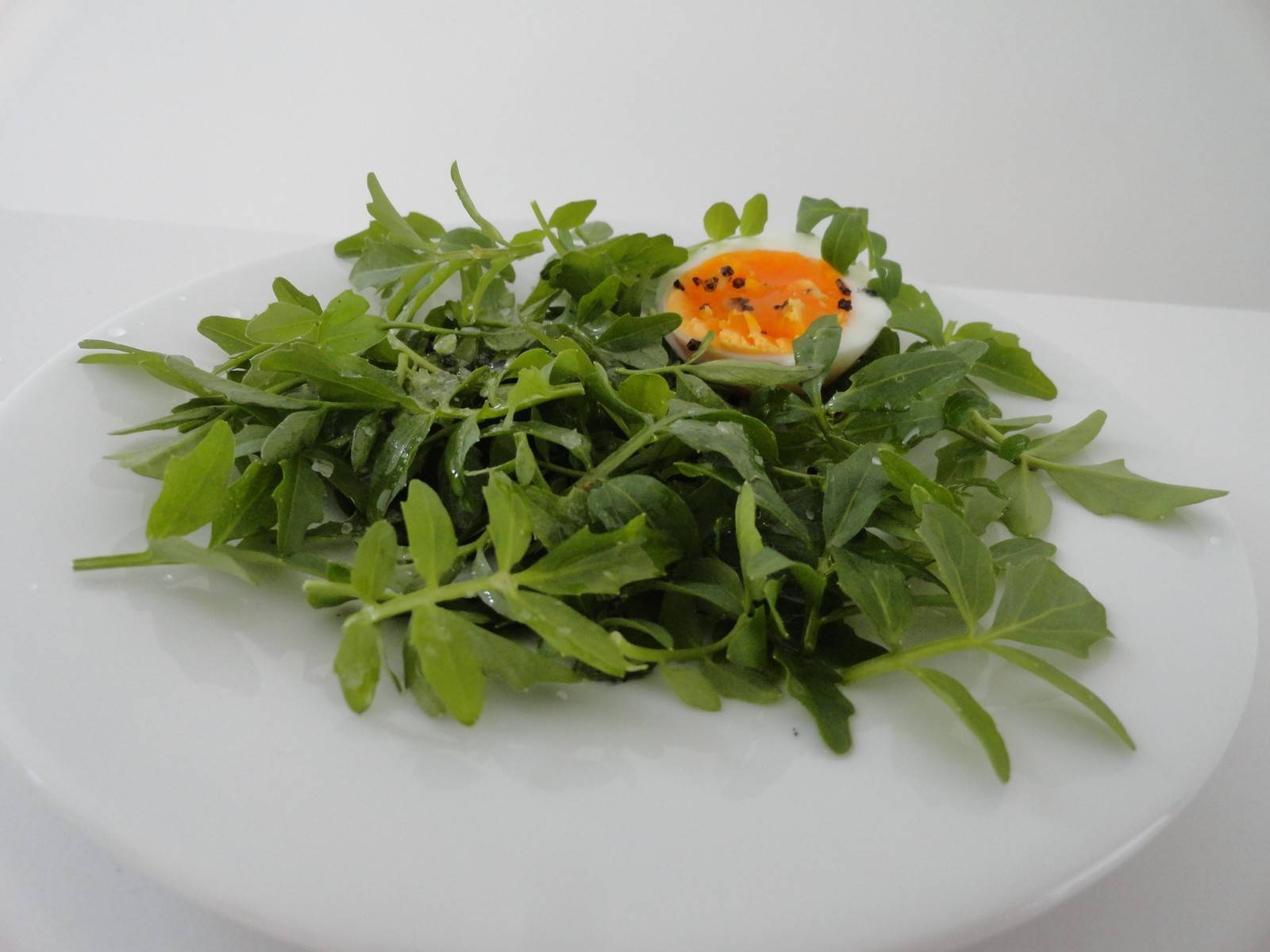 Brunnenkresse-Salat