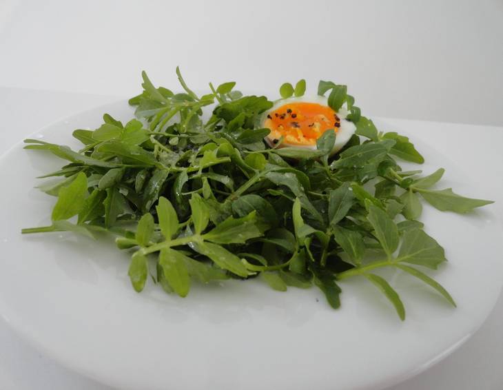 Brunnenkresse-Salat