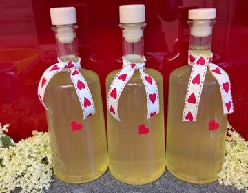 Holunderblütensirup Holunderblütensirup