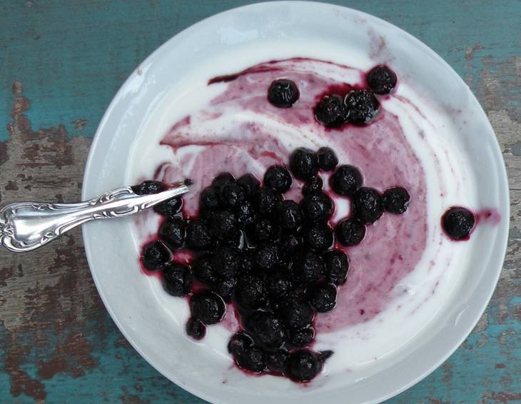 Heidelbeer-Kokosjoghurt Heidelbeer-Kokosjoghurt