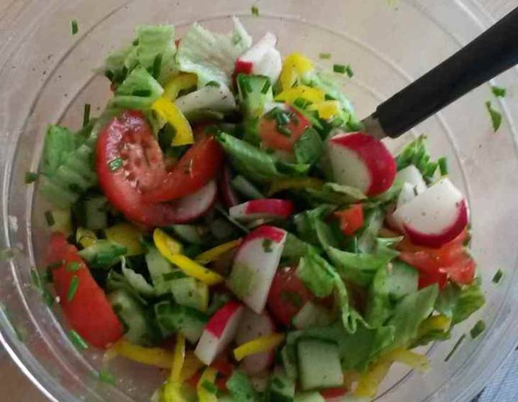 Frühlings-Salat mit Orangen-Holler-Distelöldressing Frühlings-Salat mit Orangen-Holler-Distelöldressing
