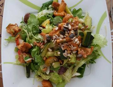 Sommersalat mit Eierschwammerl Sommersalat mit Eierschwammerl
