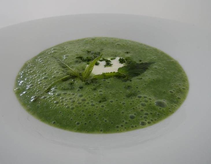 Kartoffelsuppe mit Brennnesseln Kartoffelsuppe mit Brennnesseln