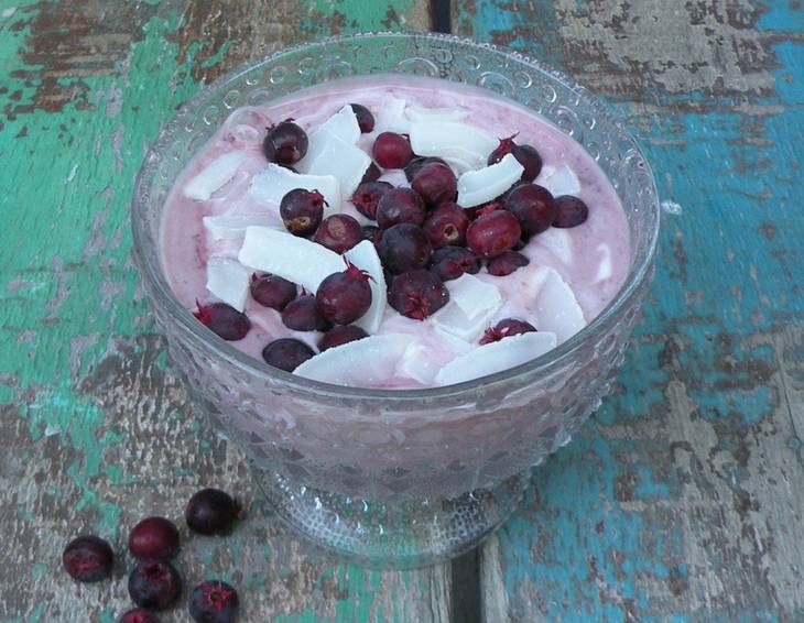 Kokosdessert mit Felsenbirnen Kokosdessert mit Felsenbirnen