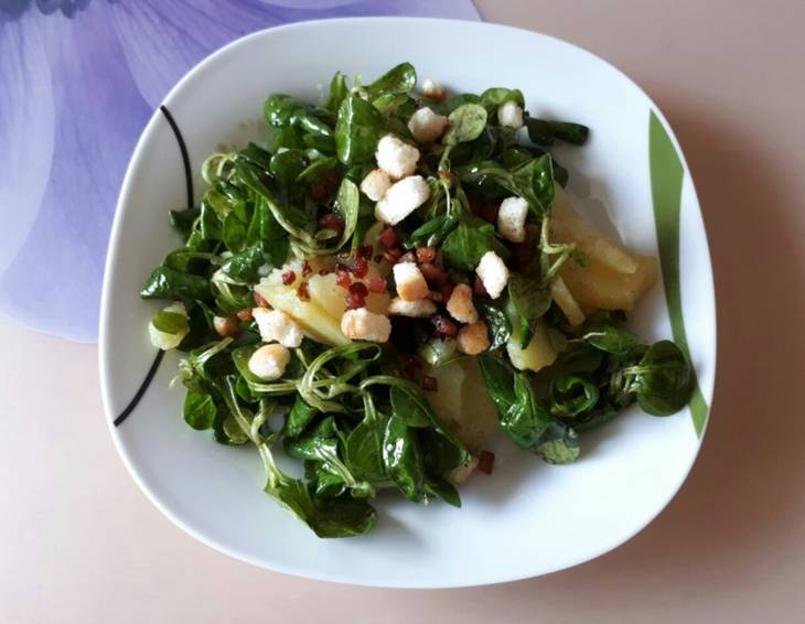 Vogerlsalat Vogerlsalat