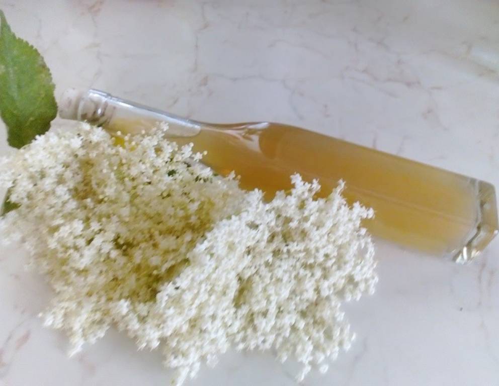 Holunderblütenlikör mit Essig Holunderblütenlikör mit Essig