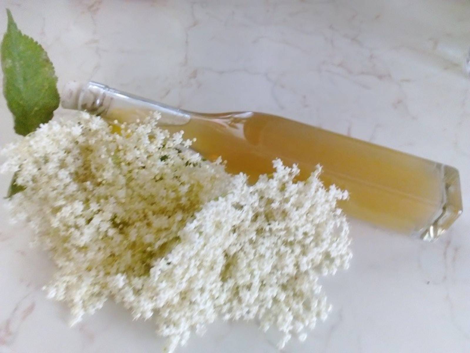 Holunderblütenlikör mit Essig Rezept - ichkoche.ch Holunderblütenlikör mit Essig Rezept - ichkoche.ch