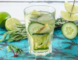 Gin Tonic Sangria Gin Tonic Sangria