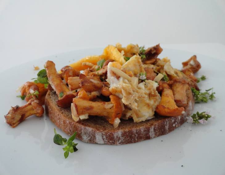 Eierschwammerl auf geröstetem Schwarzbrot Eierschwammerl auf geröstetem Schwarzbrot
