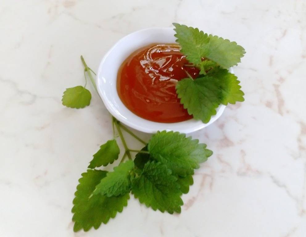 Marillen-Marmelade mit Zitronenmelisse Marillen-Marmelade mit Zitronenmelisse