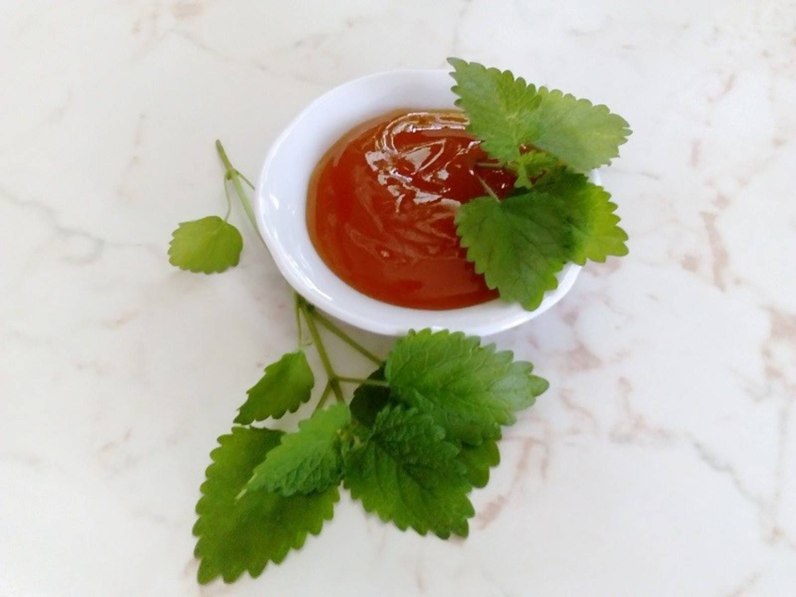 Marillen-Marmelade mit Zitronenmelisse Rezept - ichkoche.de Marillen-Marmelade mit Zitronenmelisse Rezept - ichkoche.de