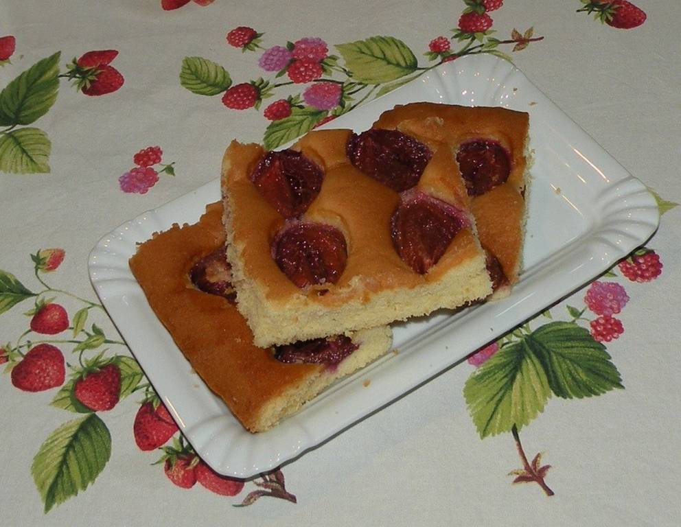 Topfen-Zwetschkenkuchen Topfen-Zwetschkenkuchen