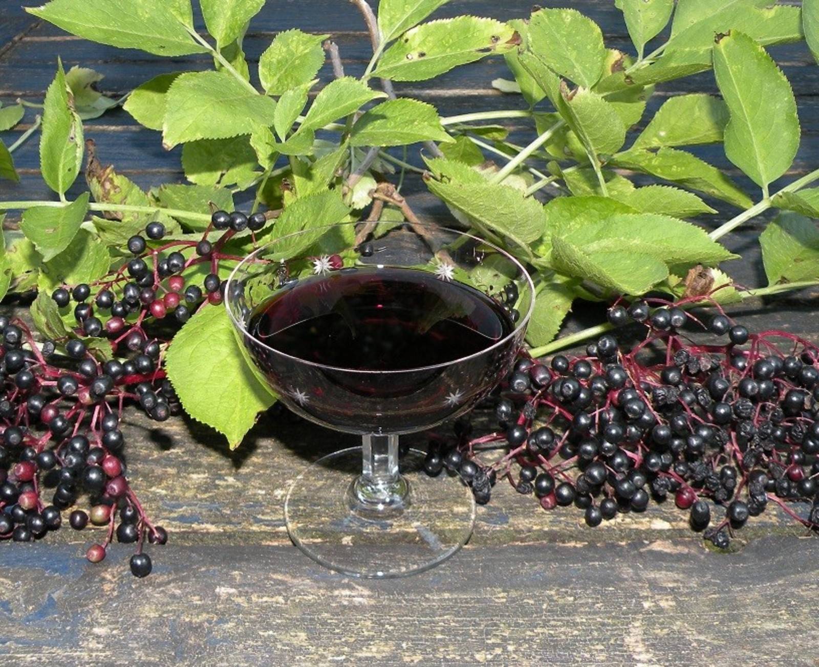 Hollerlikör Rezept - ichkoche.de Hollerlikör Rezept - ichkoche.de