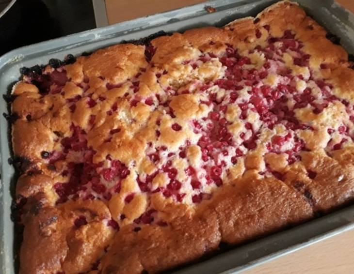 Ribiselkuchen Ribiselkuchen