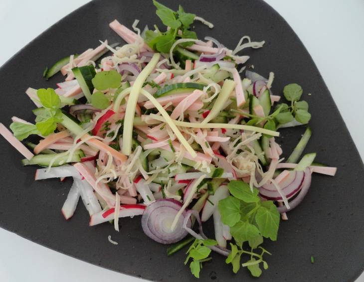 Wurstsalat mit Käse, Gurke und Radieschen