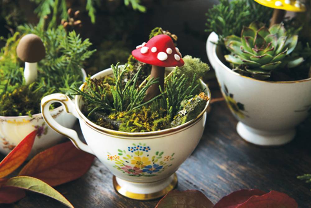 Waldterrarium Waldterrarium