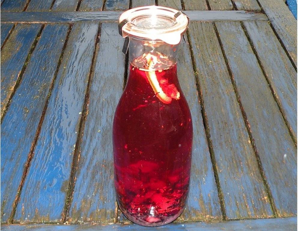 Cranberrylikör Cranberrylikör