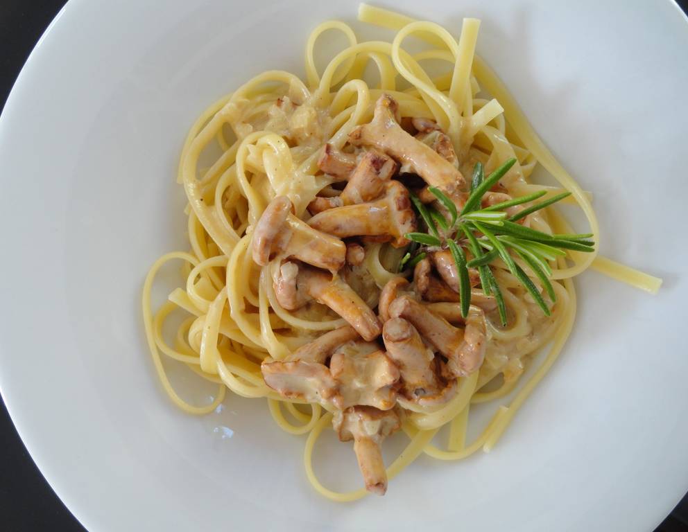 Pasta mit Eierschwammerl Pasta mit Eierschwammerl