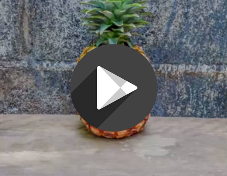 Video - Ananas