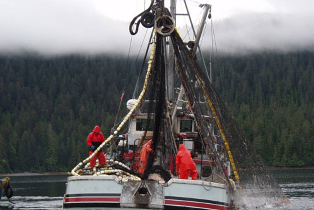 So wichtig ist Nachhaltigkeit bei Fisch So wichtig ist Nachhaltigkeit bei Fisch