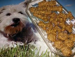 Schnelle Hunde-Leckerli Schnelle Hunde-Leckerli